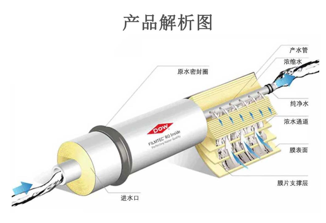 性能特點 性能特點